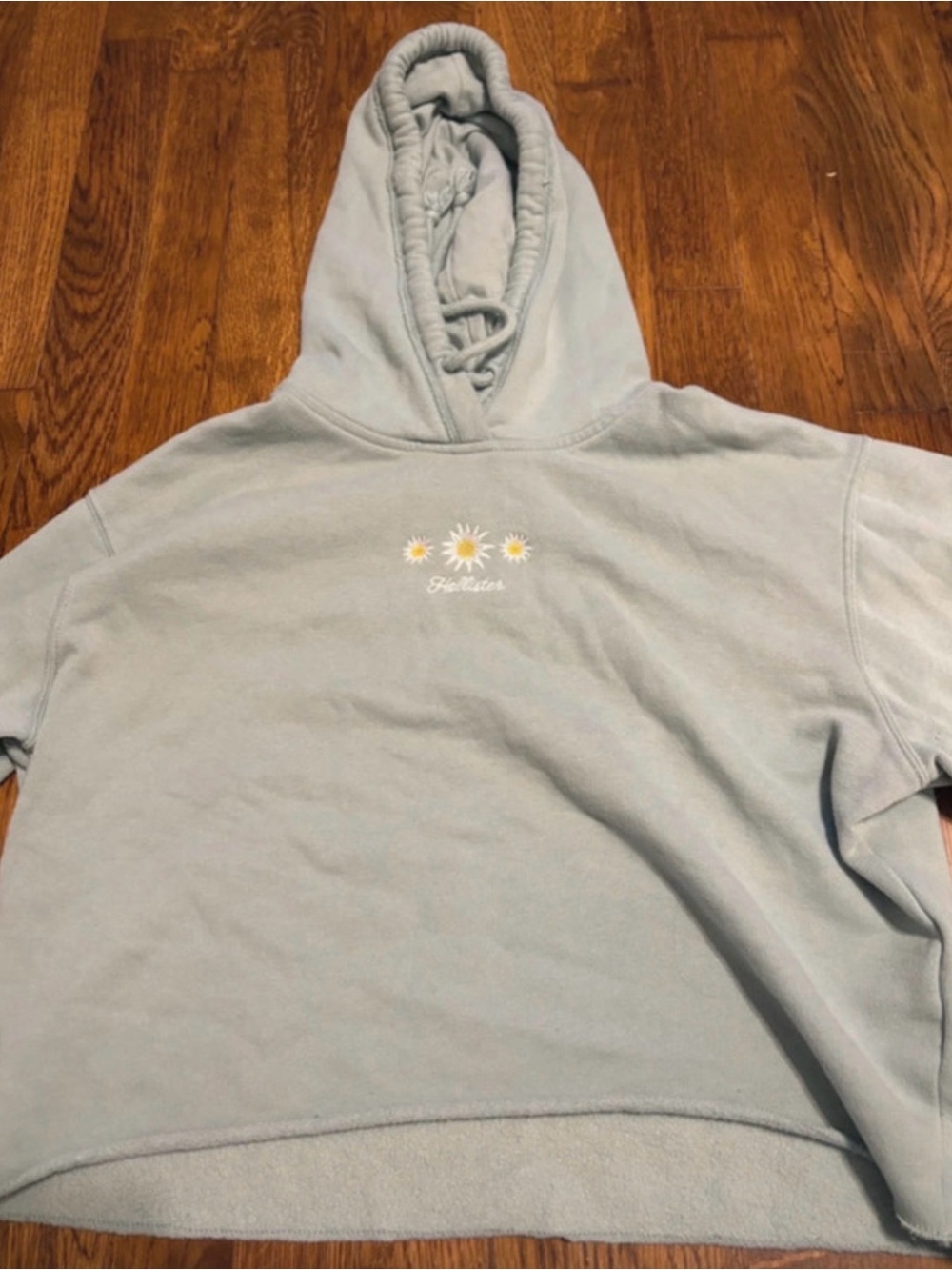 Hollister Light Blue Daisy Embroidered Hoodie